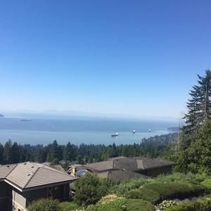 Meet your Posher, Irene